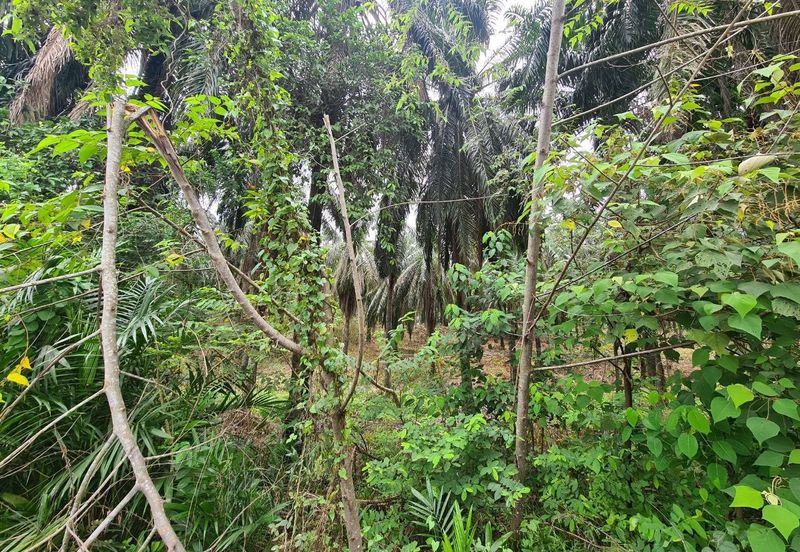 Kampung Jenderam Hulu