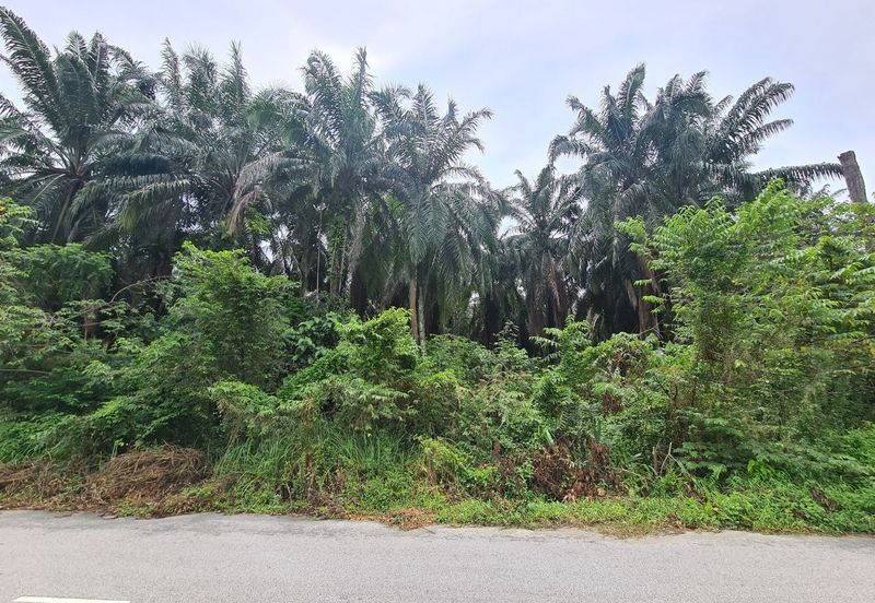 Kampung Jenderam Hulu