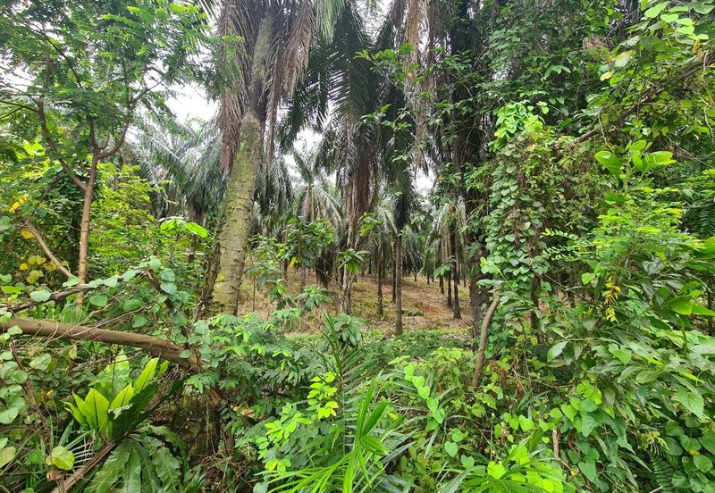 Kampung Jenderam Hulu