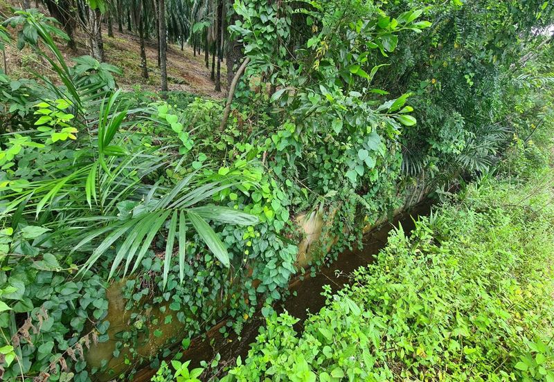 Kampung Jenderam Hulu