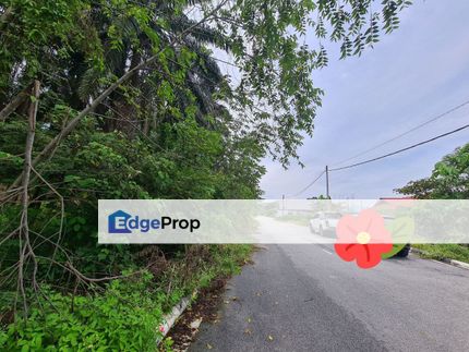 Freehold Non Bumi , Land Palm Oil 11 Acre Jenderam Hulu, Dengkil, Selangor, Sepang