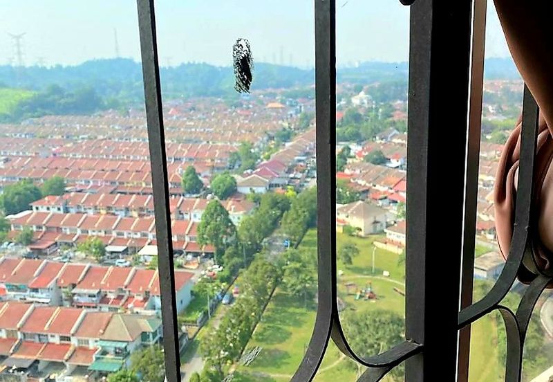 Vista Pinggiran, Taman Pinggiran Putra