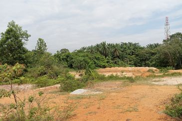 Kampung Sungai Buah