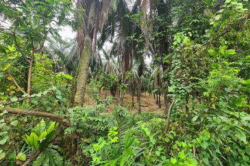Kampung Jenderam Hulu