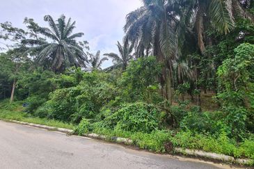 Kampung Jenderam Hulu