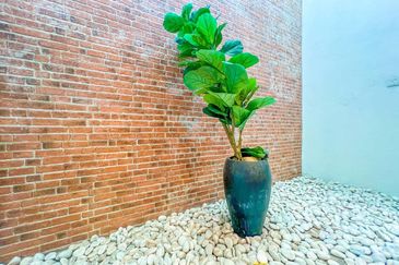 The Clover Homes @ Laman Semanggi