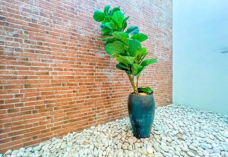 The Clover Homes @ Laman Semanggi