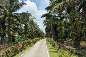 Kampung Melayu Gelang Patah