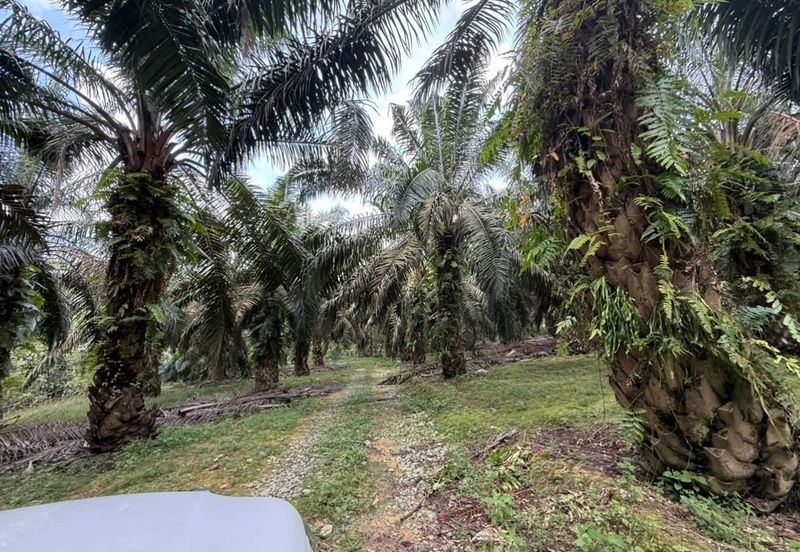 Kawasan Perindustrian Seelong