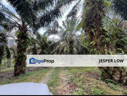Senai Seelong Zoning Industrial Land for Sale, Johor, Senai