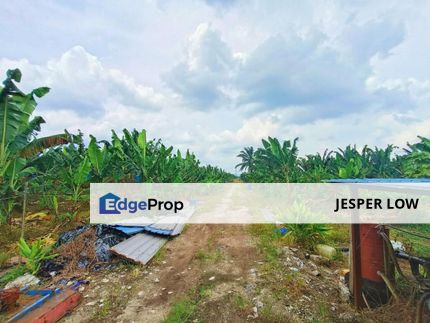 Kukup Durian and Palm Oil Land For Sale, Johor, Pontian