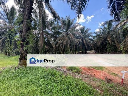 Sedenak Mix Develop Commercial Land For Sale, Johor, Kulai