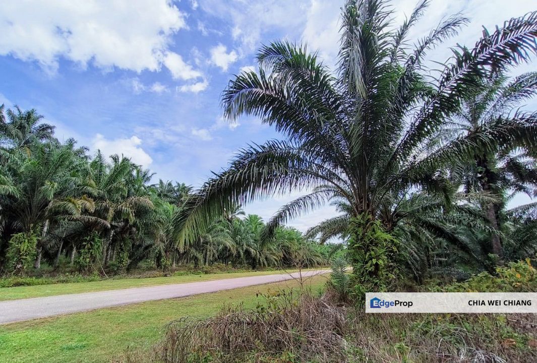 Kulai Johor Semi Commercial Land For Sale, Johor, Kulai