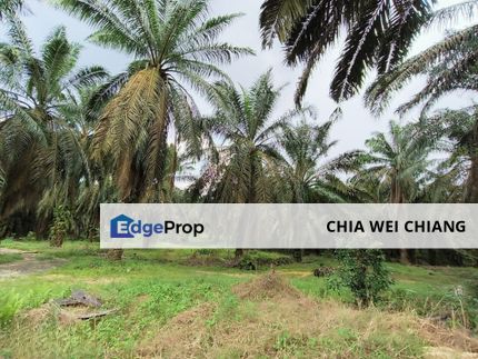 Gelang Patah Industrial Land For Sale, Johor, Gelang Patah