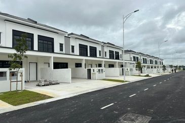 Tate Dalton @ Eco Botanic 2