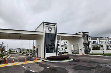 Tate Dalton @ Eco Botanic 2