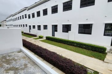 Tate Dalton @ Eco Botanic 2