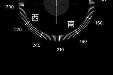 Tate Dalton @ Eco Botanic 2