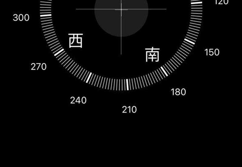 Tate Dalton @ Eco Botanic 2