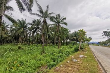 Gelang Patah Industrial Land for Sale