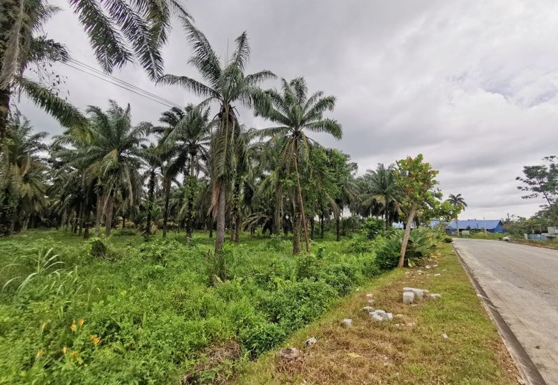 Gelang Patah Industrial Land for Sale