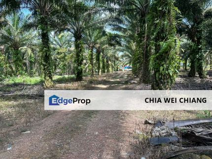 Gelang Patah Residential Land for Sale, Johor, Gelang Patah