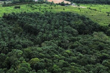  Heavy Industrial Land in Gelang Patah for Sale