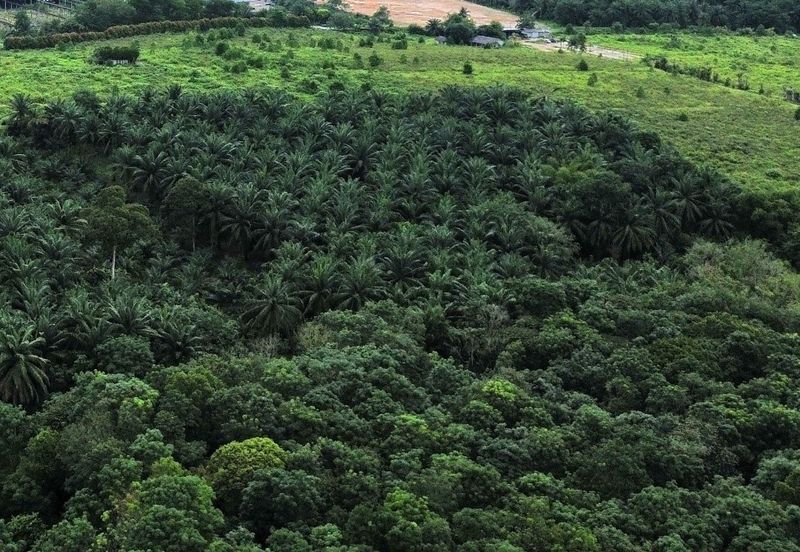  Heavy Industrial Land in Gelang Patah for Sale