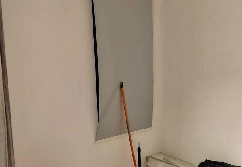 Regalia Park @ Forest City