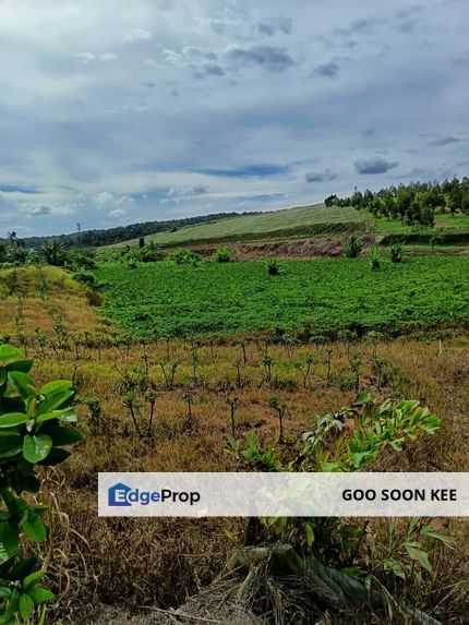 Agriculture Land at Seelong Senai for Sales, Johor, Senai