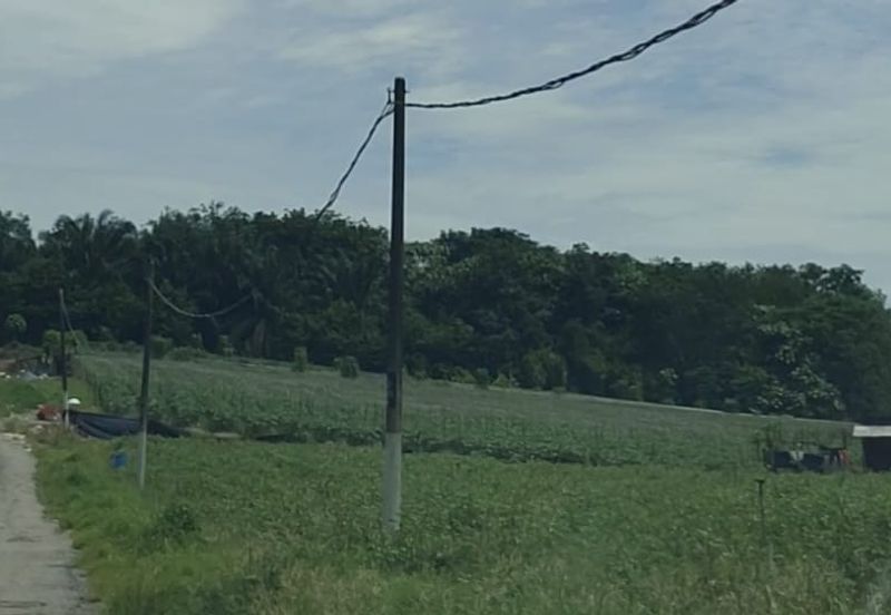 Agricultural Land at Sungai Tiram For Sale