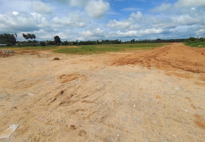 Industrial Flat land in Senai For Sale