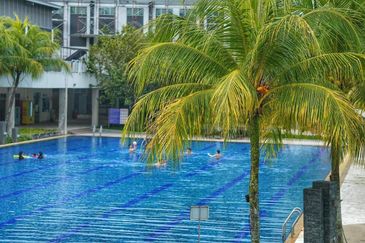 The Seed @ Sutera Utama