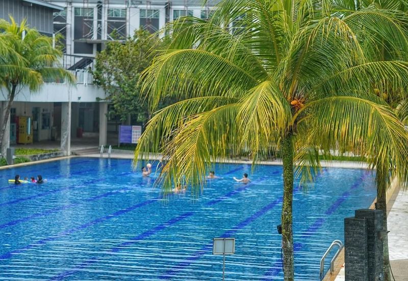 The Seed @ Sutera Utama