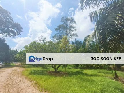 Agriculture Land Telok Kerang Pontian For Sale, Johor, Pontian