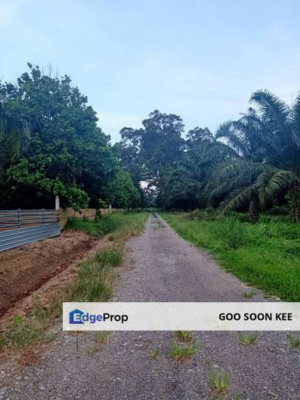 Agriculture Land Kukup For Sale, Johor, Pontian