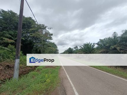Pekan Nenas 5.28 Acre Oil Palm Land for Sale, Johor, Pontian