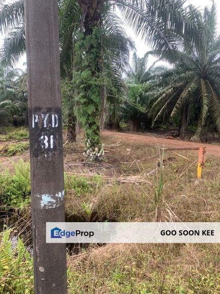 Agriculture Land Benut Pontian For Sale, Johor, Pontian