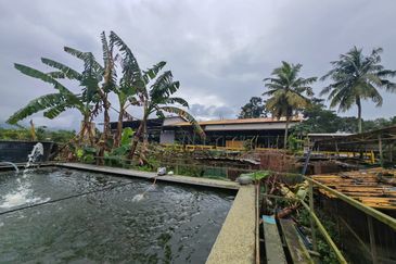 Kawasan Perindustrian Seelong