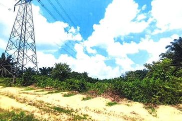 Palm Oil Agricultural Land @ Kluang 