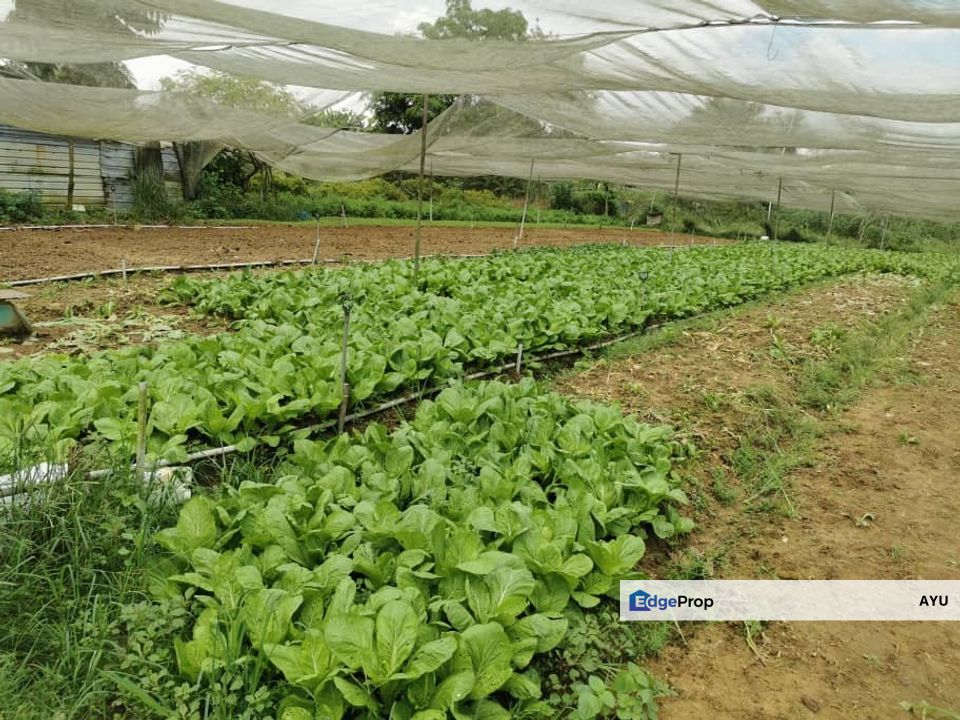 Agricultural land @ Taman Perling, Johor, Johor Bahru