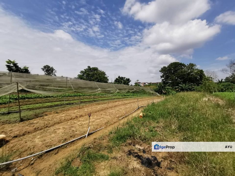 Agricultural land @ Taman Perling, Johor, Johor Bahru