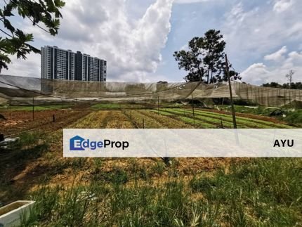 Agricultural land @ Taman Perling, Johor, Johor Bahru