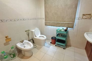 Stulang Laut / Darat