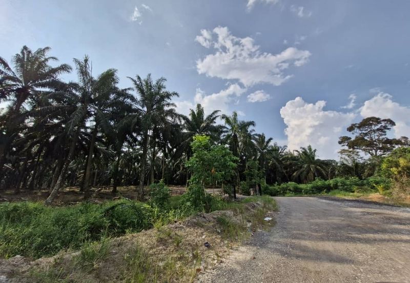 JERAM BATU PEKAN NENAS