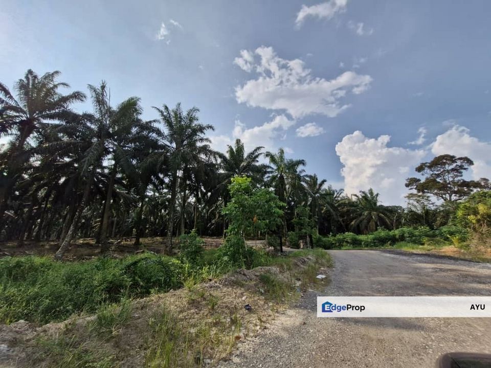 Jeram Batu , Ulu Pulai , Gelang Patah , Pulai , Pekan Nanas Agricultural Land, Johor, Pekan Nanas (Pekan Nenas)