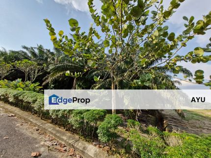 Jeram Batu , Ulu Pulai Gelang Patah , Pulai , Pekan Nanas 2 Adjoining Unit Agricultural Land, Johor, Pekan Nanas (Pekan Nenas)