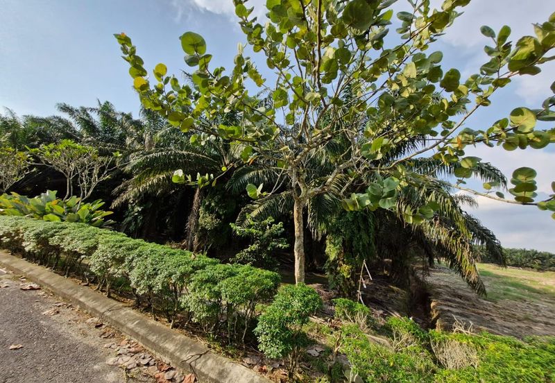 JERAM BATU PEKAN NENAS