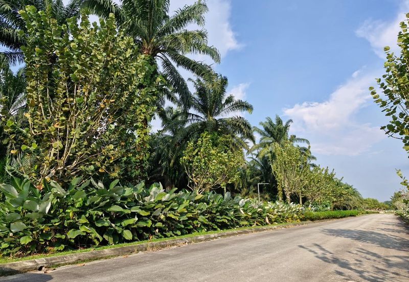 JERAM BATU PEKAN NENAS