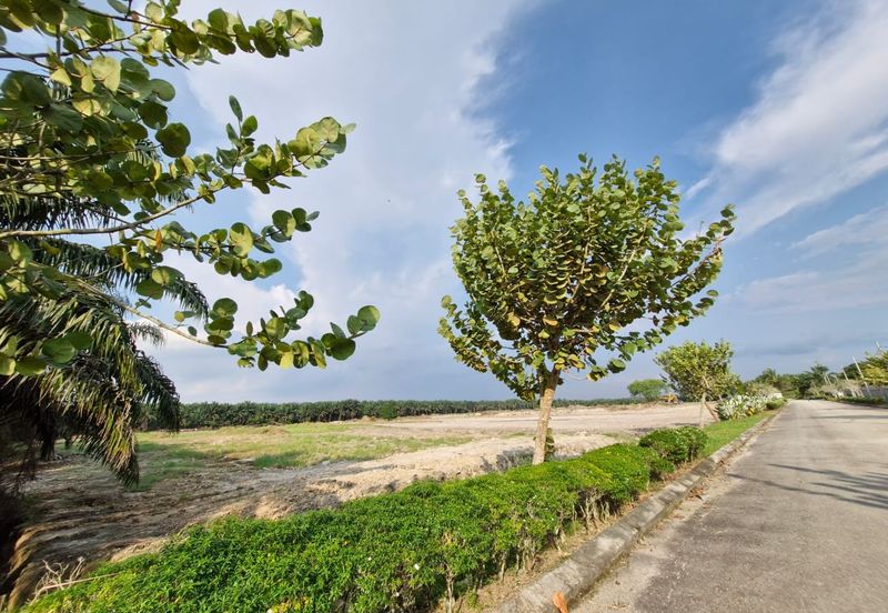 JERAM BATU PEKAN NENAS
